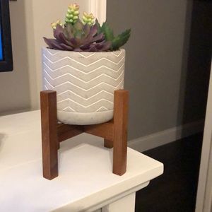 Succulent pot